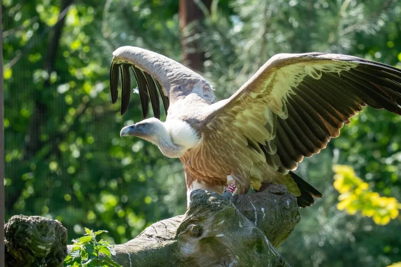 Fotografie von CHRISTIAN BREHMEN, aufgenommen mit SONY Alpha 7C2