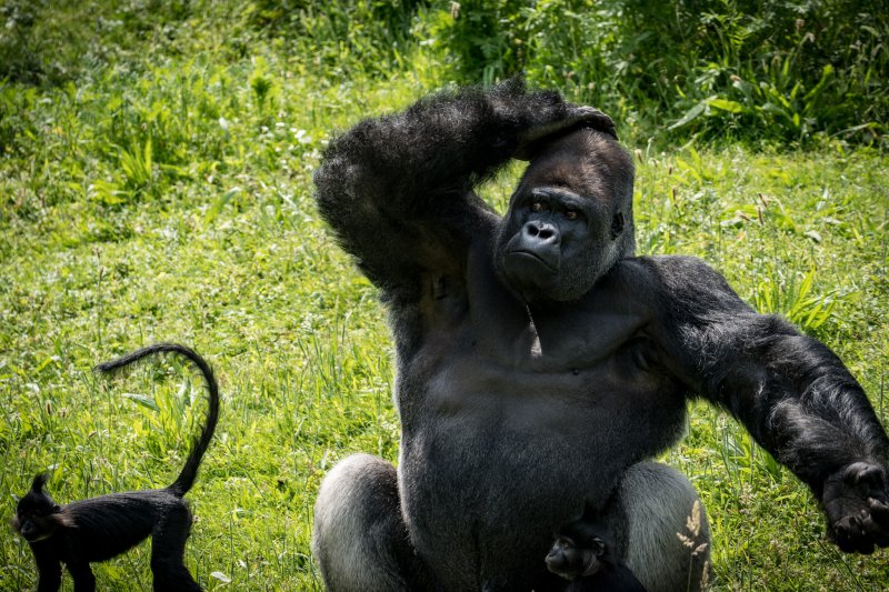 Fotografie Highlight