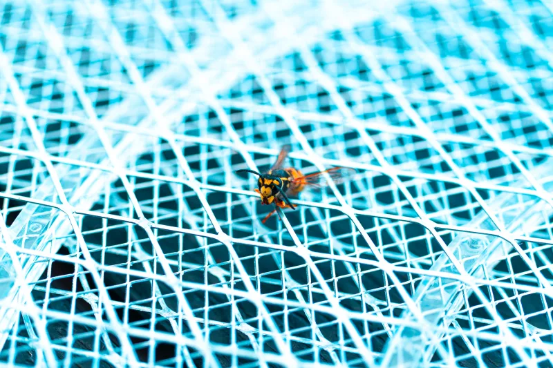 Photograph by CHRISTIAN BREHMEN, taken with SONY Alpha 7C2