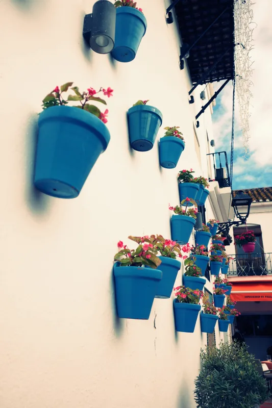 Photograph from the album “DIGITAL ART”, taken with RICOH GR IV