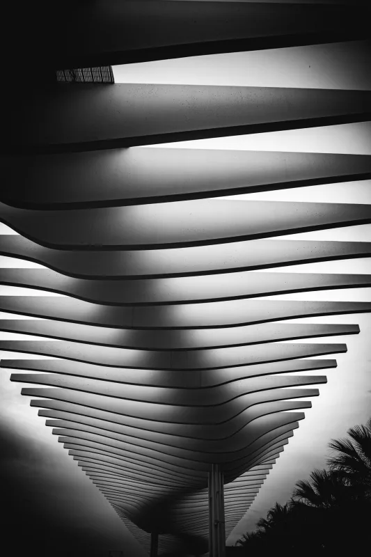 Photograph from the album “DIGITAL ART”, taken with RICOH GR IV