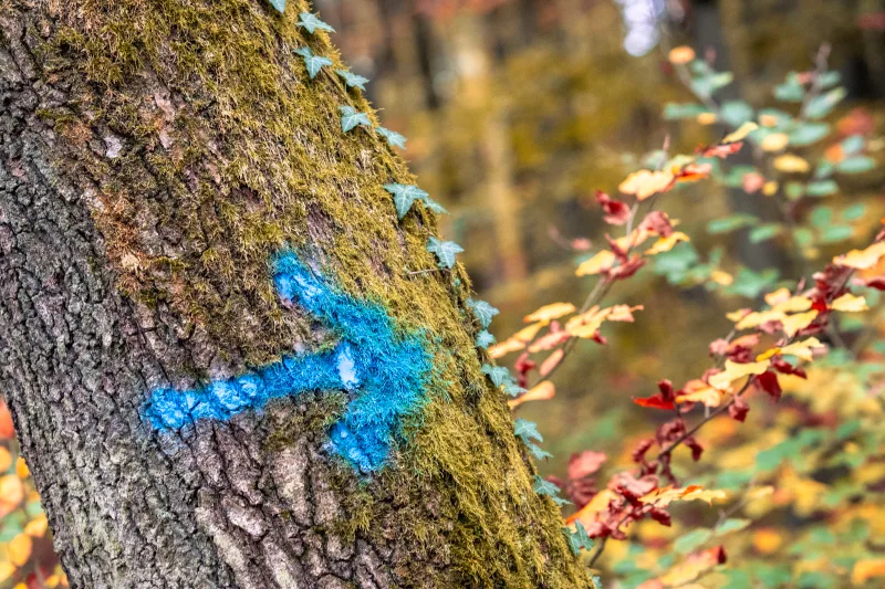 Fotografie von CHRISTIAN BREHMEN, aufgenommen mit SONY Alpha 7C2