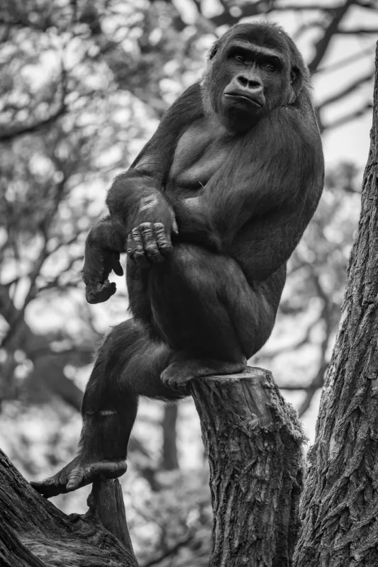 Photograph by CHRISTIAN BREHMEN, taken with SONY Alpha 7C2