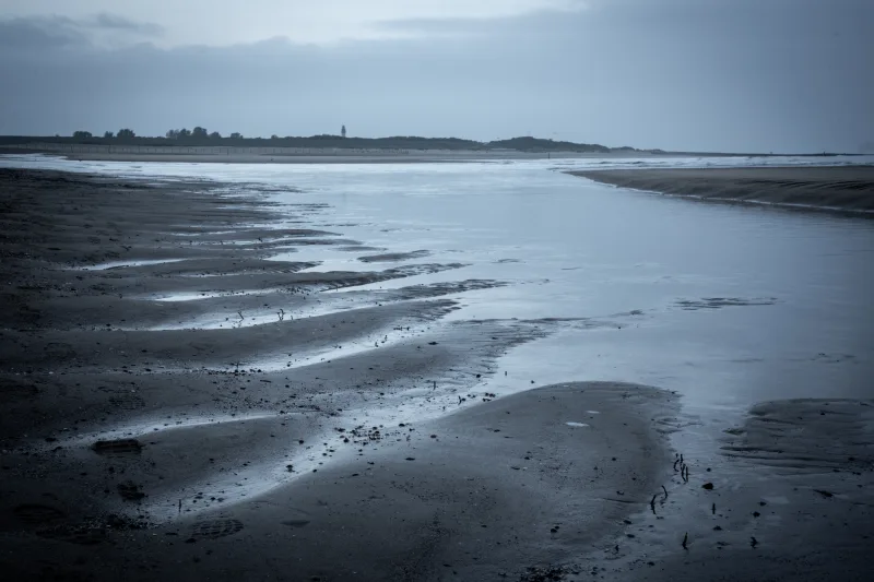 Photograph by CHRISTIAN BREHMEN, taken with SONY Alpha 7C2