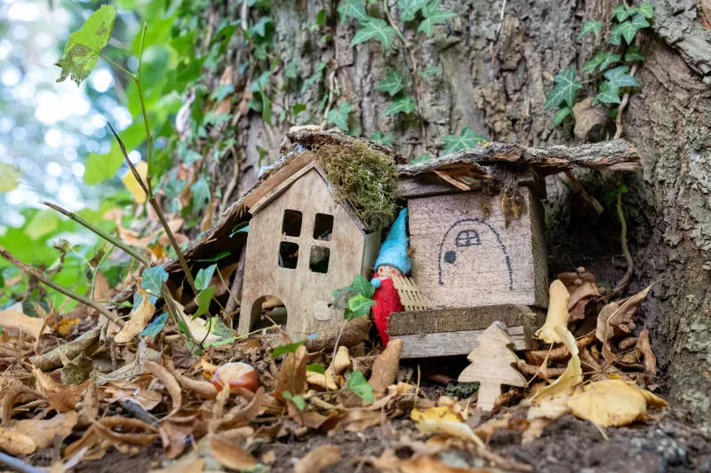 Photograph by CHRISTIAN BREHMEN, taken with SONY Alpha 7C2