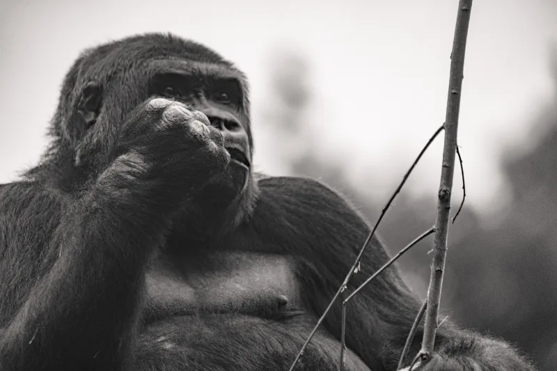 Fotografie von CHRISTIAN BREHMEN, aufgenommen mit SONY Alpha 7C2