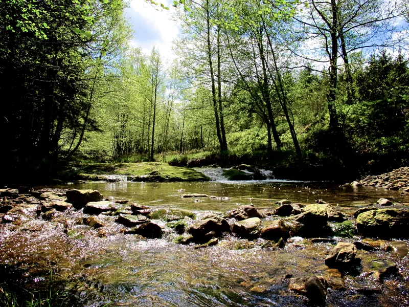 Photograph from the album “LANDSCAPE”, taken with Canon PowerShot G12