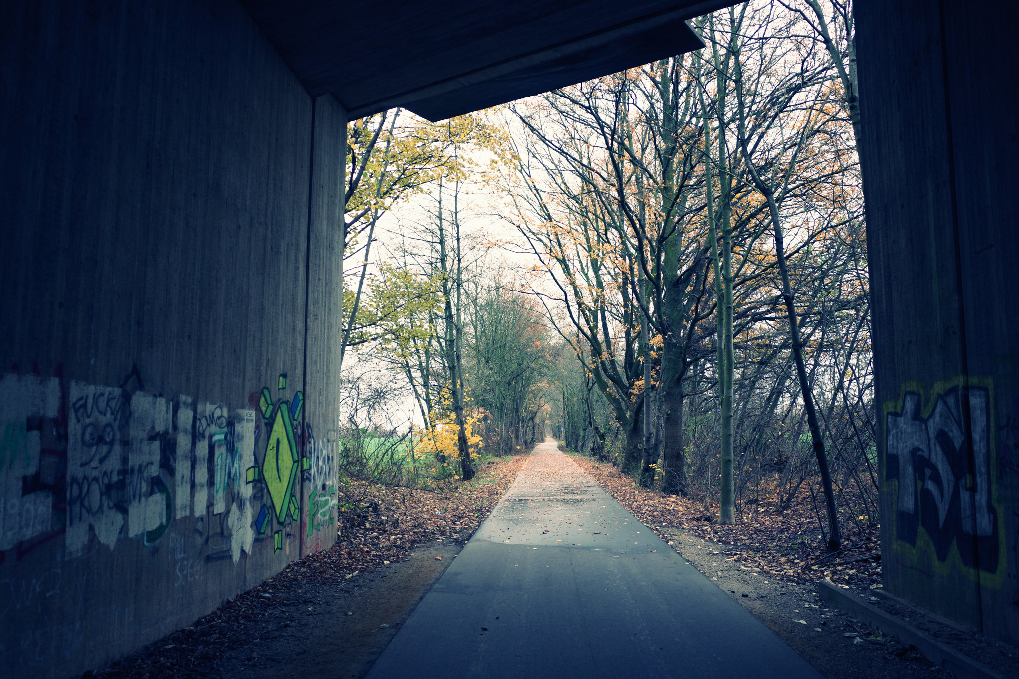 Fotografie aus dem Album Landscape - Christian Brehmen